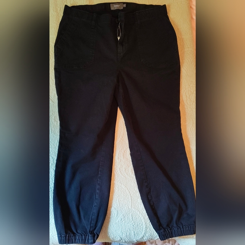 Torrid Black Jogger Style Pants